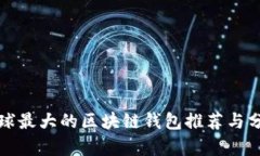 全球最大的区块链钱包推荐与分析