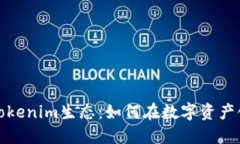 探索深圳的Tokenim生态：如