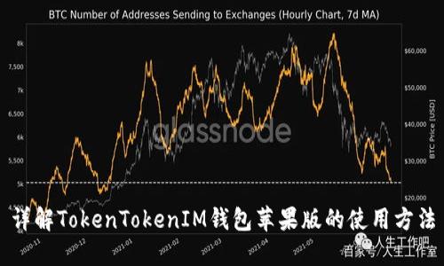 详解TokenTokenIM钱包苹果版的使用方法