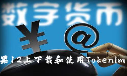 如何在苹果12上下载和使用Tokenim：完整指南