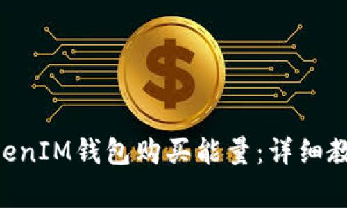 如何通过TokenTokenIM钱包购买能量：详细教程与常见问题解答
