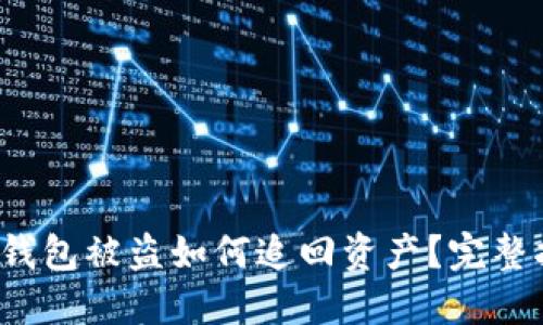 TokenTokenIM钱包被盗如何追回资产？完整指南与解决方案