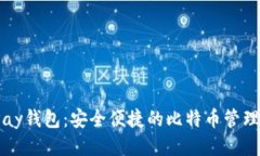 BitPay钱包：安全便捷的比