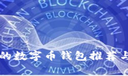 中国常见的数字币钱包推荐与使用指南