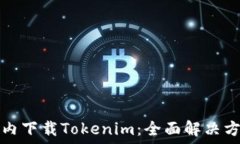   如何在国内下载Tokenim：