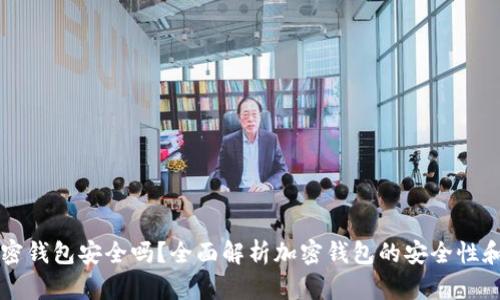 中文版加密钱包安全吗？全面解析加密钱包的安全性和使用指南