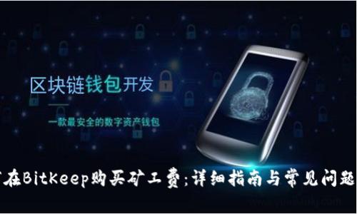 如何在BitKeep购买矿工费：详细指南与常见问题解答