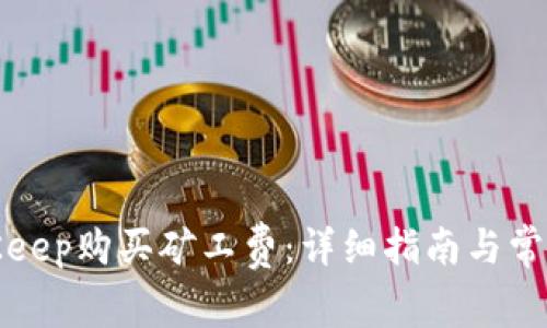 如何在BitKeep购买矿工费：详细指南与常见问题解答