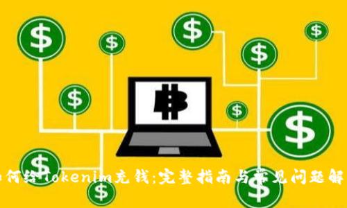 如何给Tokenim充钱：完整指南与常见问题解答