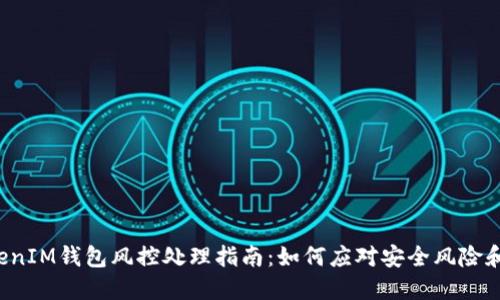 TokenTokenIM钱包风控处理指南：如何应对安全风险和账户锁定
