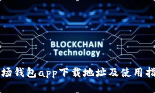 波场钱包app下载地址及使用指南