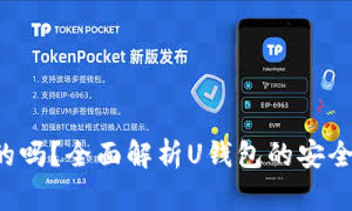 U钱包是正规的吗？全面解析U钱包的安全性与使用体验