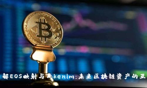 深入了解EOS映射与Tokenim：未来区块链资产的互操作性