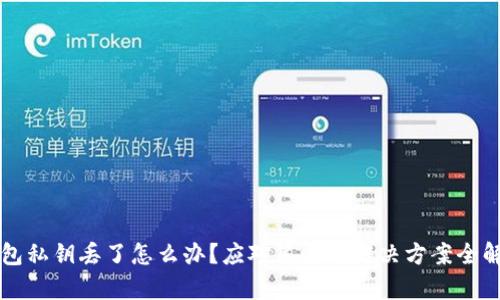 钱包私钥丢了怎么办？应对策略与解决方案全解析