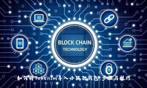 如何将Tokenim导入小狐狸钱包：步骤与技巧