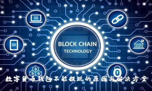 数字货币钱包不能提现的原因与解决方案