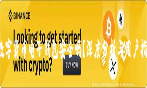  数字货币电子钱包安全吗？深度分析与用户指南