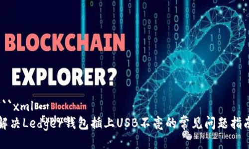 ```xml
解决Ledger钱包插上USB不亮的常见问题指南