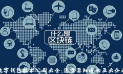 数字钱包技术公司大全：
