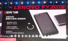 Gopay数字货币的全面解析：