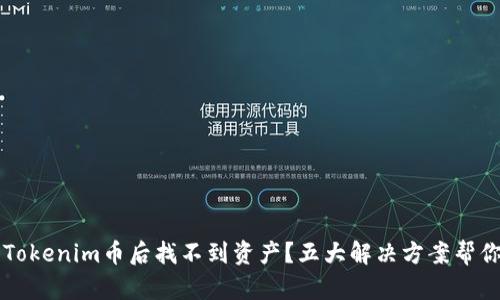 导入Tokenim币后找不到资产？五大解决方案帮你找回