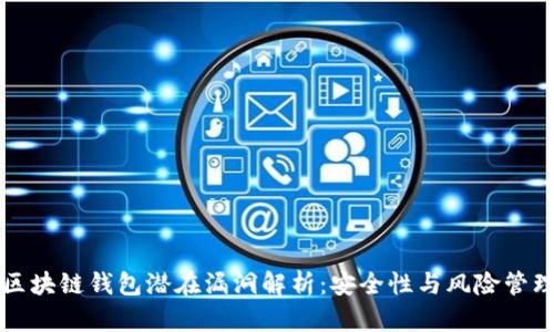 区块链钱包潜在漏洞解析：安全性与风险管理