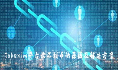 Tokenim平台收不到币的原因及解决方案