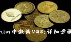 如何在Tokenim中激活VGS：详