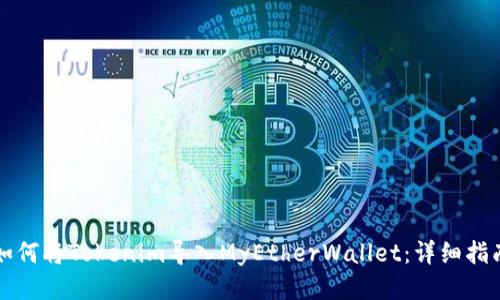 如何将Tokenim导入MyEtherWallet：详细指南