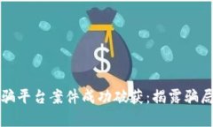 数字货币诈骗平台案件成