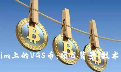 深入分析Tokenim上的VGS币：项目背景、技术优势与市场前景