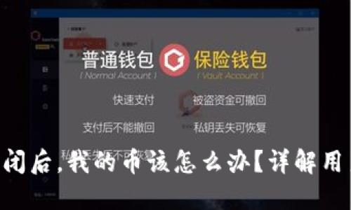 Tokenim公司倒闭后，我的币该怎么办？详解用户应采取的措施