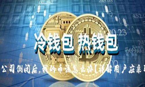 Tokenim公司倒闭后，我的币该怎么办？详解用户应采取的措施