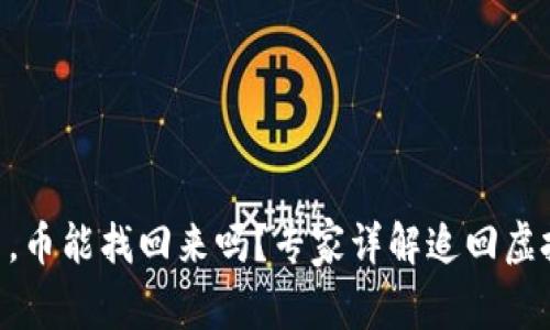 Tokenim跑路了，币能找回来吗？专家详解追回虚拟资产的可能性