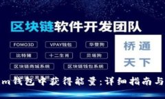 如何在Tokenim钱包中获得能量：详细指南与常见问