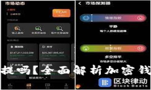 加密货币钱包可以秒提吗？全面解析加密钱包提币速度与安全性