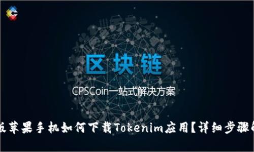 美版苹果手机如何下载Tokenim应用？详细步骤解析