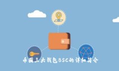 币圈三大钱包BSC的详细简介