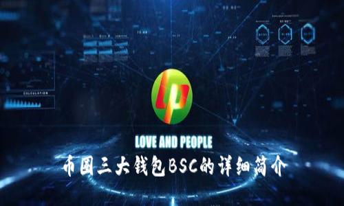 币圈三大钱包BSC的详细简介