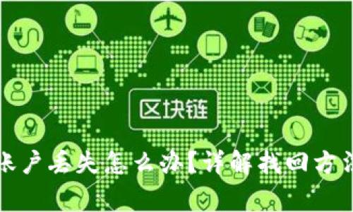 小狐狸钱包账户丢失怎么办？详解找回方法及注意事项