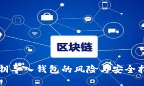 私钥导入钱包的风险与安全指南