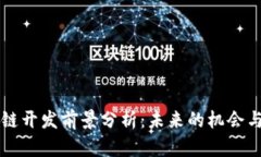 区块链开发前景分析：未