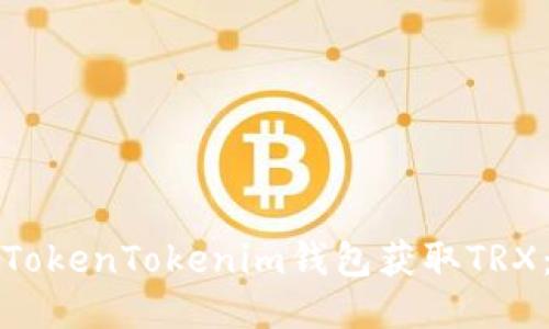 如何通过TokenTokenim钱包获取TRX：详细指南