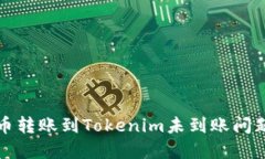 如何解决火币转账到Tokenim未到账问题的完整指南