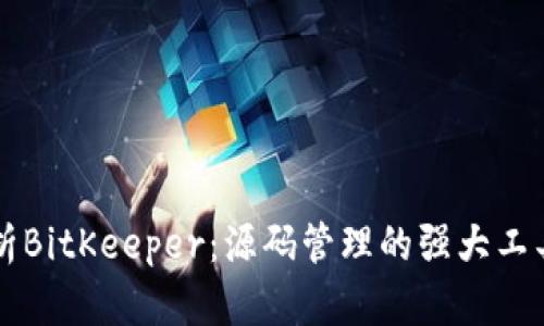 深入解析BitKeeper：源码管理的强大工具与应用