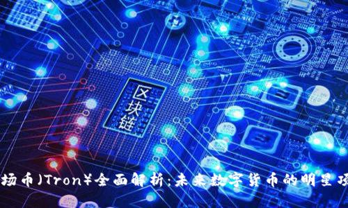 波场币（Tron）全面解析：未来数字货币的明星项目