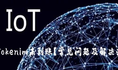 转币到Tokenim未到账？常见问题及解决办法解析