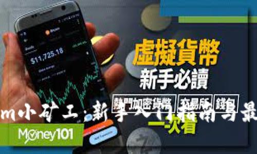 Tokenim小矿工：新手入门指南与最佳实践