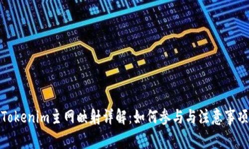 Tokenim主网映射详解：如何参与与注意事项