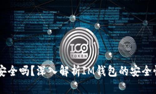 IM钱包平台安全吗？深入解析IM钱包的安全性与使用技巧